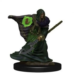 Dungeons & Dragons: Icons Of The Realms - Elf Druid Male Miniature