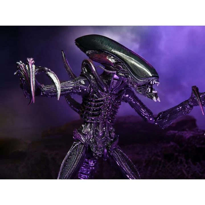 Toys & Figures Alien Vs. Predator Razorclaw Alien Action Figure 5 Toys & Figures Alien Vs. Predator Razorclaw Alien Action Figure