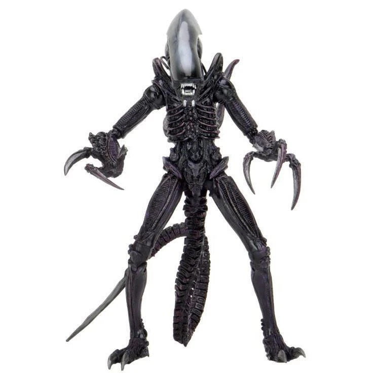 Toys & Figures Alien Vs. Predator Razorclaw Alien Action Figure 4 Toys & Figures Alien Vs. Predator Razorclaw Alien Action Figure