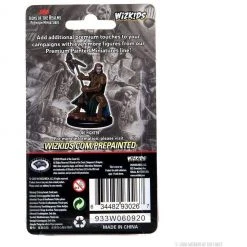 Dungeons & Dragons - Half-Orc Fighter Female Miniature Tabletop