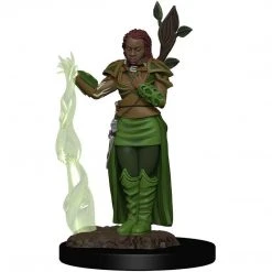 Dungeons & Dragons: Icons Of The Realms - Human Female Druid Miniature Tabletop