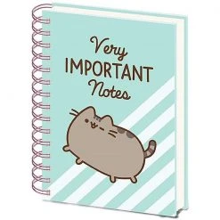 Home & Gifts PUSHEEN (VERY IMPORTANT NOTES)