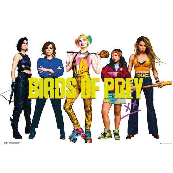 Birds Of Prey Group Maxi Poster 33 4 Birds Of Prey Group Maxi Poster 33