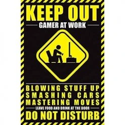 Geek-Aboo Home & Gifts Gamer At Work Maxi Poster 10