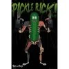 Film & TV Rick And Morty Pickle Rick 15 1 Film & TV Rick And Morty Pickle Rick 15