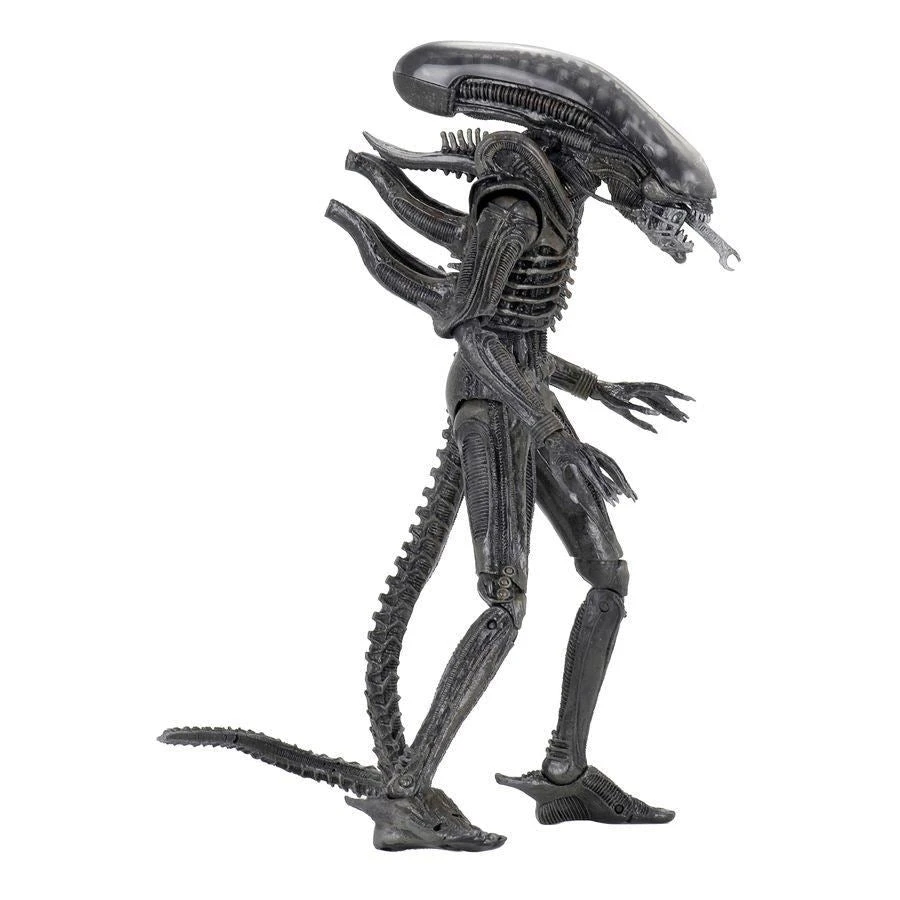 Film & TV Alien 40th Anniversary (Wave 3) - The Alien Action Figure 5 Film & TV Alien 40th Anniversary (Wave 3) - The Alien Action Figure