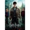 Harry Potter 7 Part 2 One Sheet Maxi Poster Film & TV