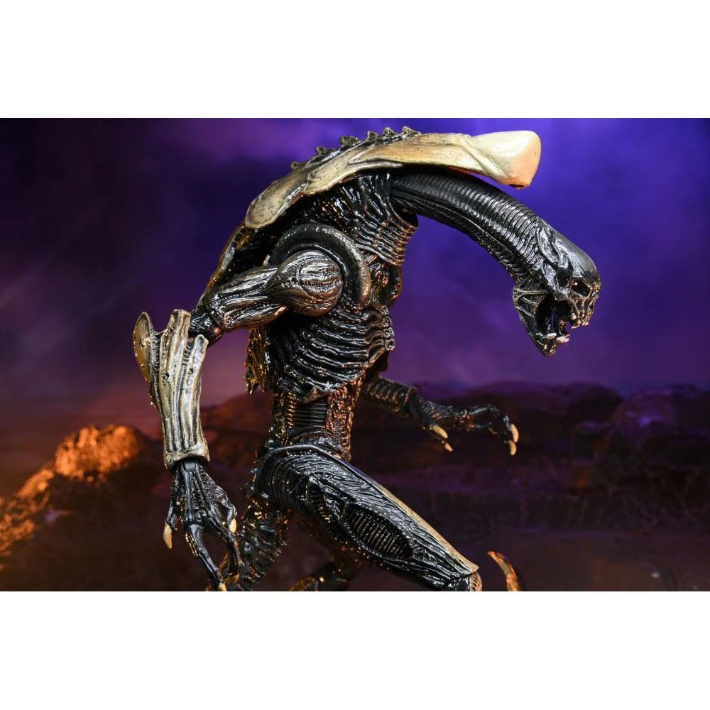 Alien Vs. Predator Chrysalis (Movie Deco) Action Figure Toys & Figures 5 Alien Vs. Predator Chrysalis (Movie Deco) Action Figure Toys & Figures